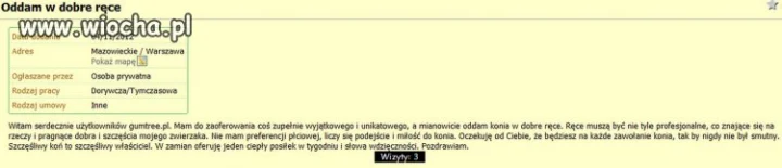 Koń w dobre ręce