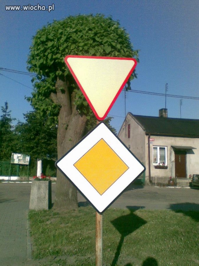 Polak potrafi...