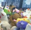 A co porabia Scoobi Doo ?