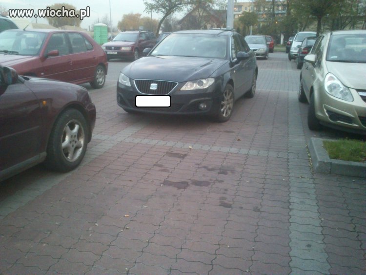 Mistrz Parkowania