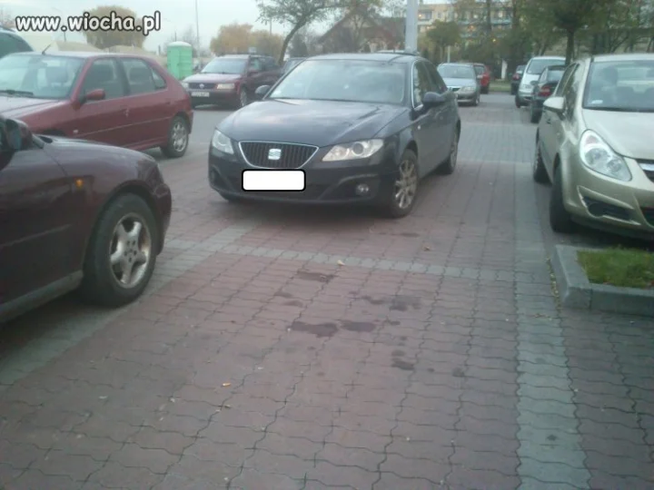 Mistrz Parkowania