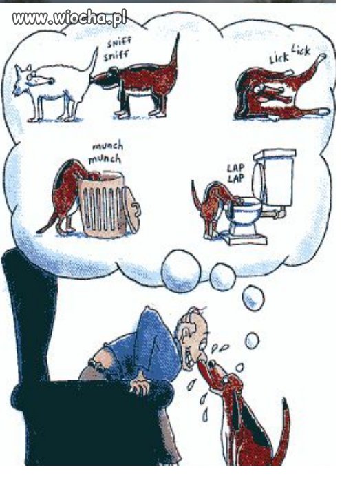 Nasze kochane psiaki i cała prawda o nich 