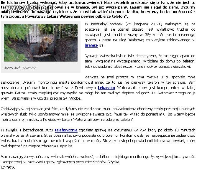 Straż Wiejska