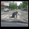 Red Bull dodaje skrzydeł..