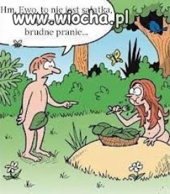 Sałatka