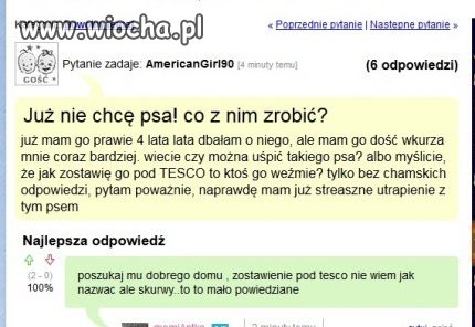 Zostawić psa pod tesco. 