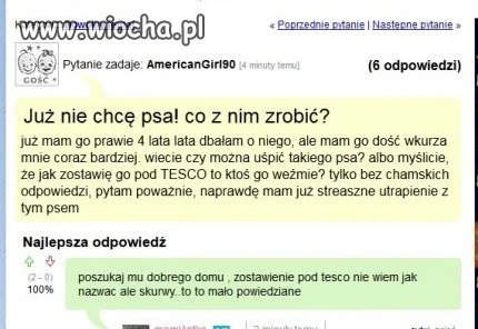 Zostawić psa pod tesco. 