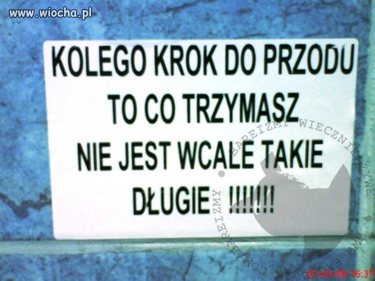 W jednym z kibli