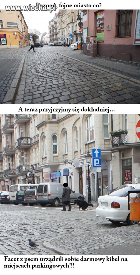 Zrobione przypadkiem