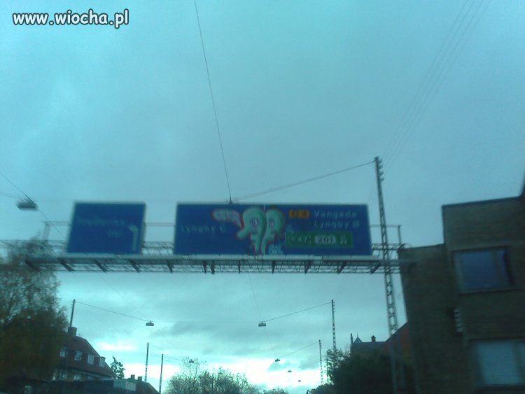 Wieśniaki za granicą