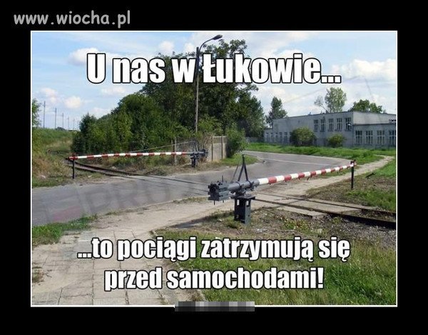 Pomysłowy dobromir