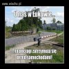 Pomysłowy dobromir