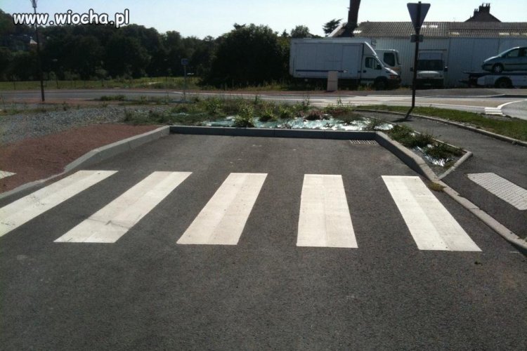 I ktoś tu zabłysnął inteligencją...