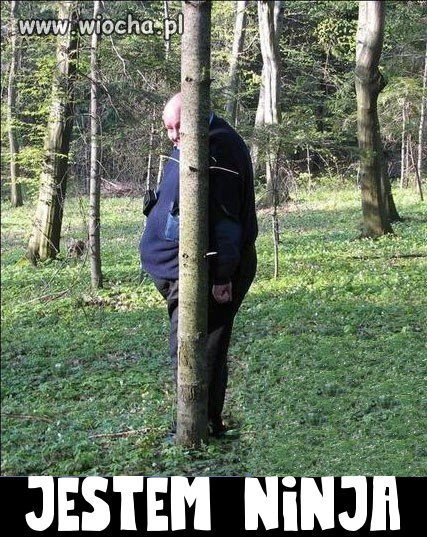 Jestem NINJA zaraz cię ...