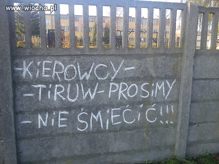 Polska Pisownia.