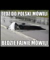 Polskie drogi