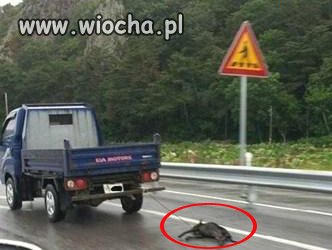 Szczyt okrucieństwa !