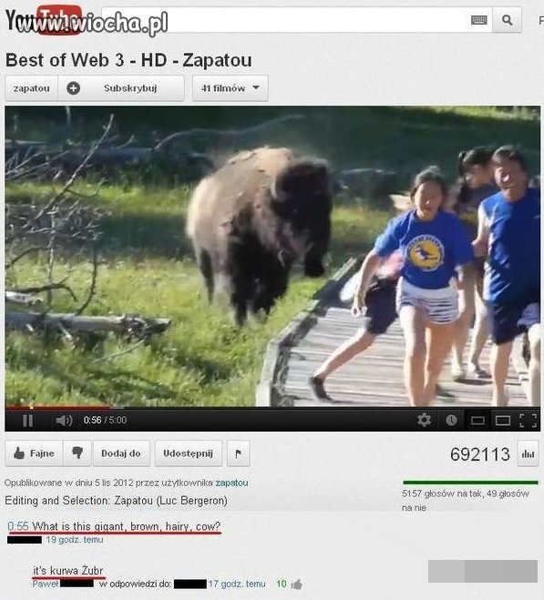 Polak wszystko wytłumaczy 