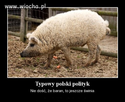 Może to i nie wiocha, ale co prawda to prawda