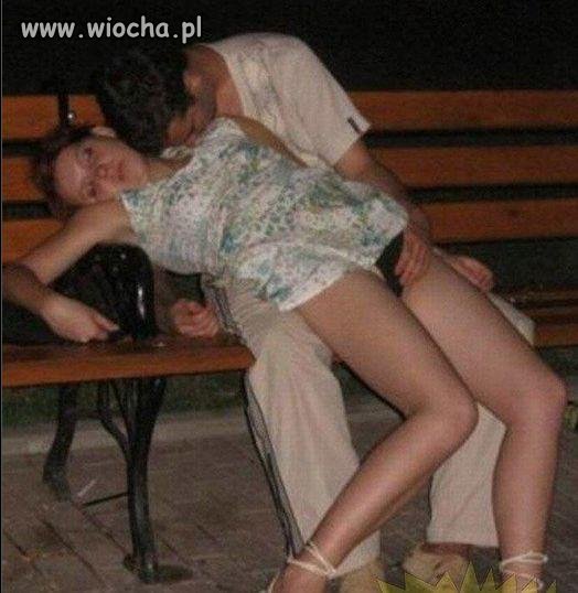 Pies na pijane laski.