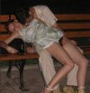 Pies na pijane laski.