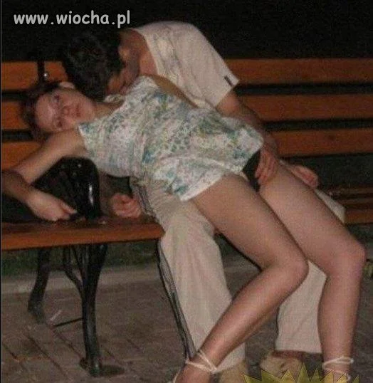 Pies na pijane laski.