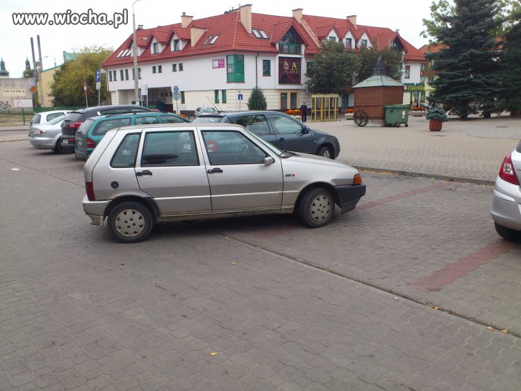 Mistrz parkowania