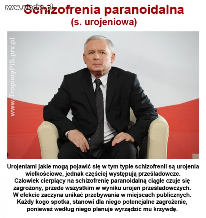 Schizofrenia paranoidalna 