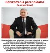 Schizofrenia paranoidalna 