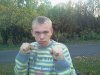 Dawid żmija jadowita