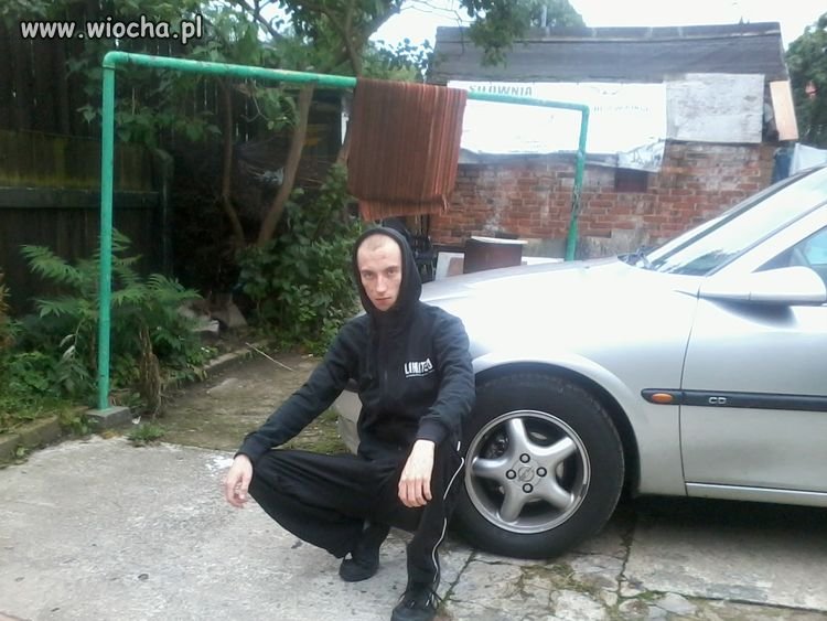 To dopiero gangsta