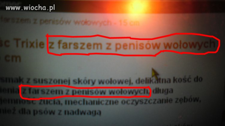 Fajny farsz 