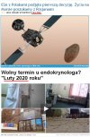 Polaku! Wcześniej będziesz na marsie