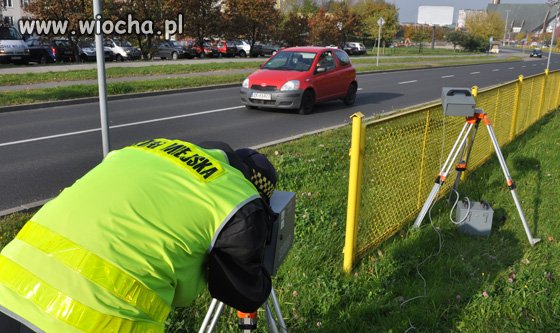 Straż miejska w akcji