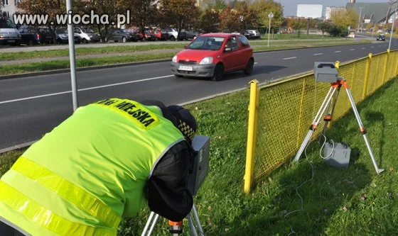 Straż miejska w akcji