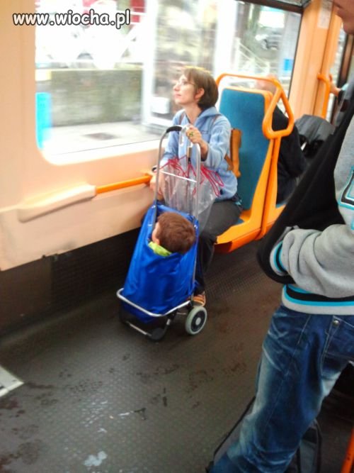 Pasażer na gape