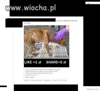 Idioci w to wierzą!