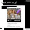 Idioci w to wierzą!