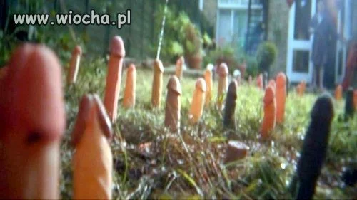 Czas na grzybo.branie