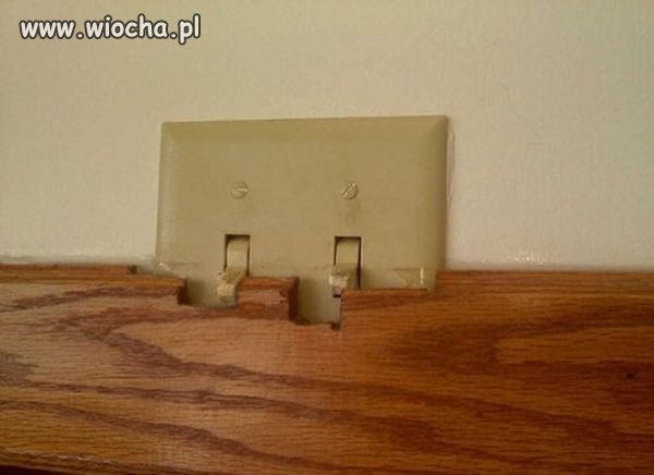 Lenistwo czy skleroza?