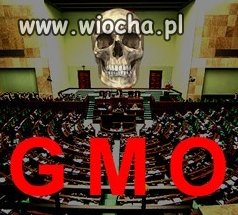 GMO to zło
