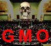 GMO to zło