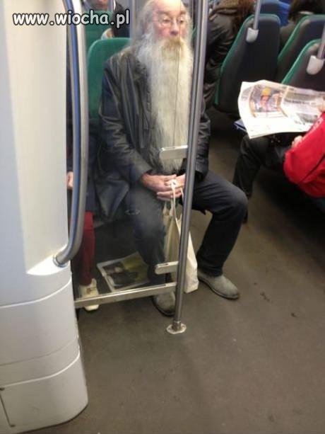 . Albus Dumbledore