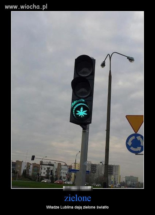 Lublin słucha Pal i kota