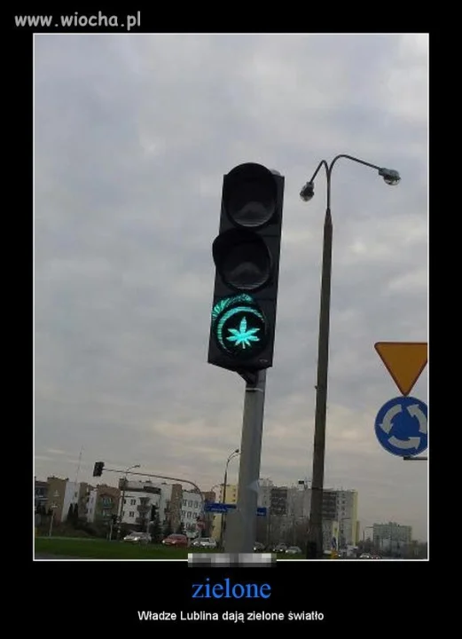 Lublin słucha Pal i kota