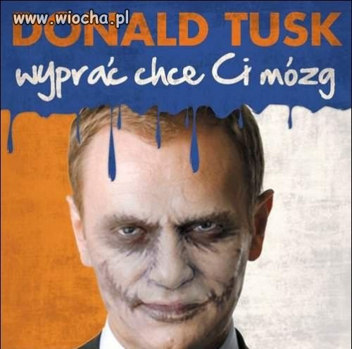 Nie tylko mózg
