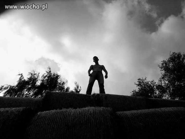 Dawid