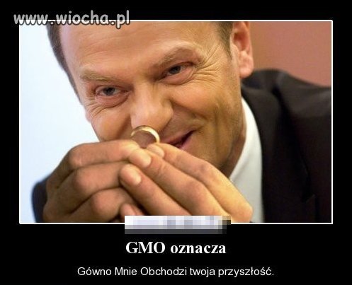 GMO oznacza...
