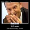 GMO oznacza...