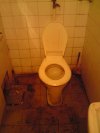 Toaleta w jednej firmie !